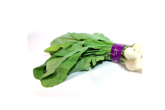 Radish Greens with White Radish