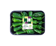 Green Jalapeño Peppers