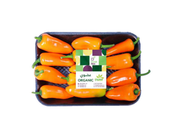 Orange Mini Sweet Peppers