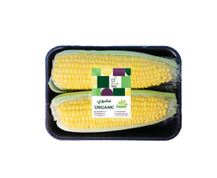Sweet Corn
