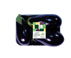 Eggplant