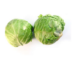 Cabbage