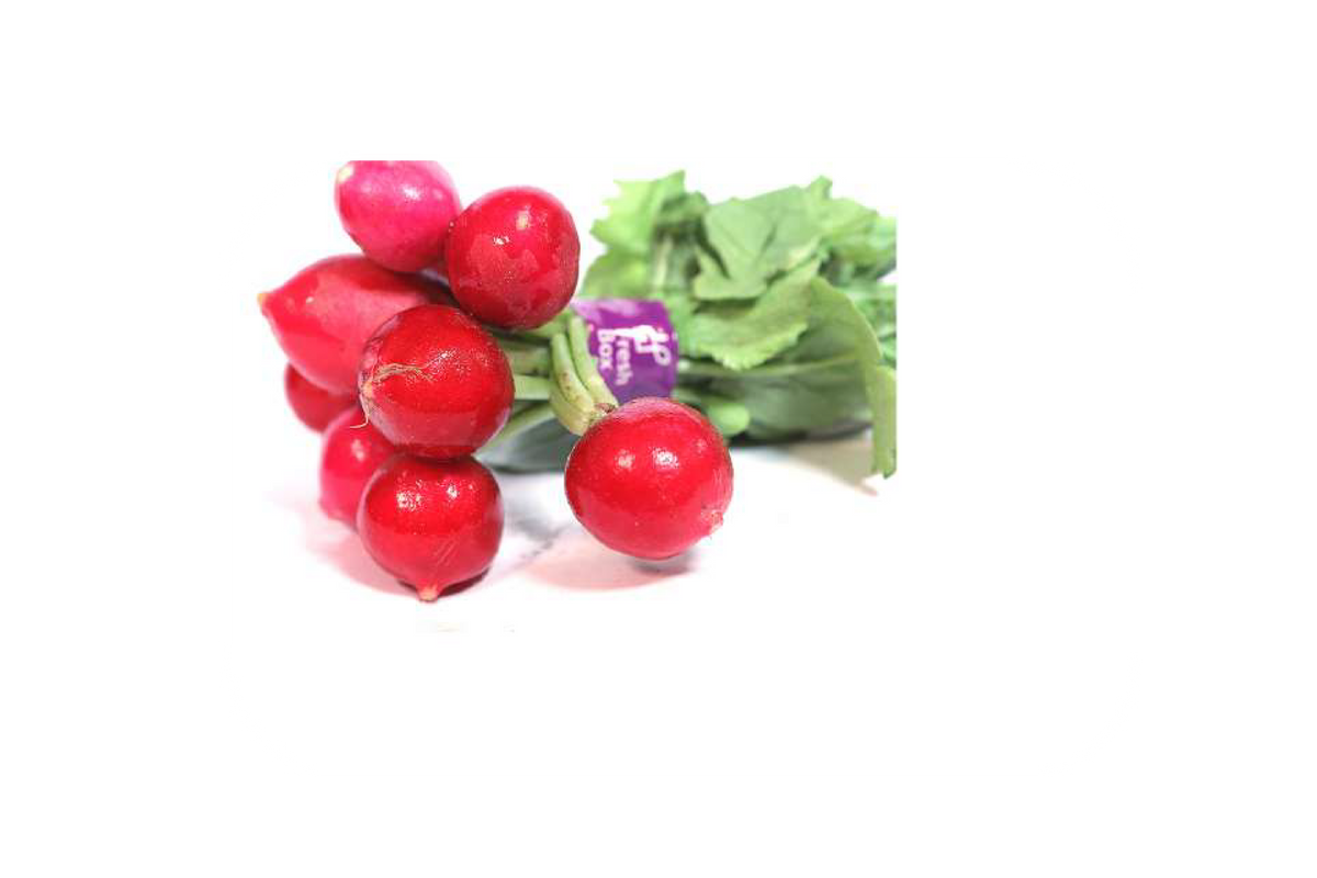 Red Radish