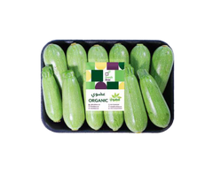 Zucchini