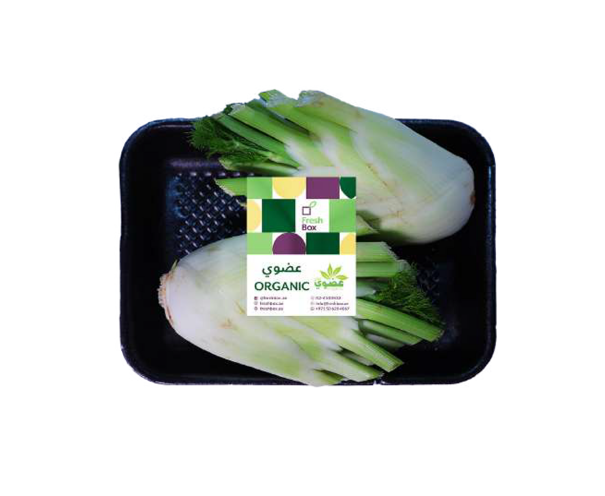 Fennel Bulbs