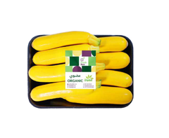 Yellow Zucchini