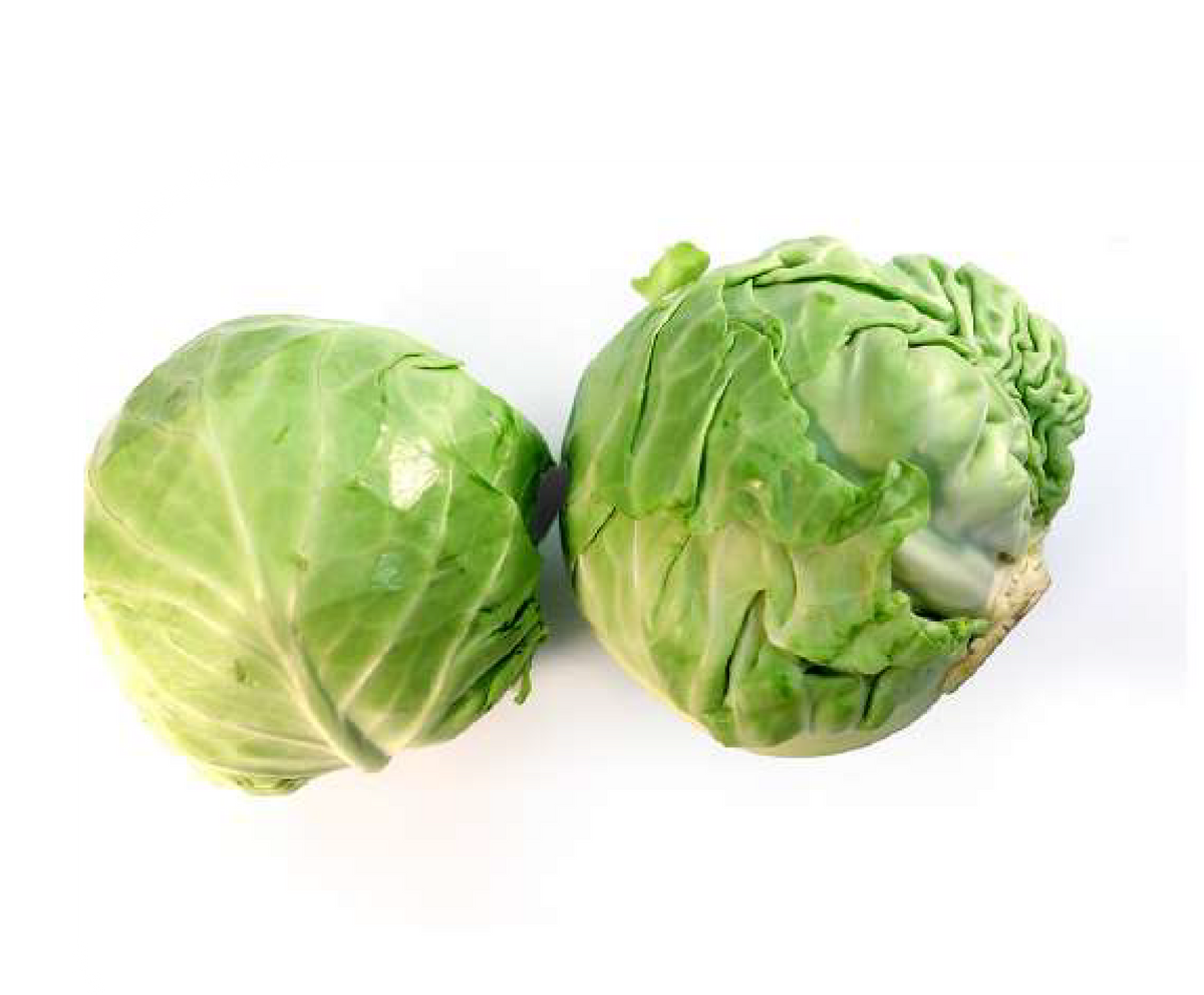 Cabbage